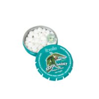 خوشبو کننده دهان با استویا طعم نعنا یخی فیبرله 12 گرمی(fibrelle)